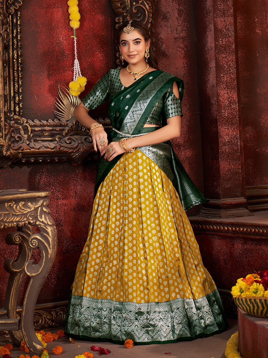 Ghagra choli saree hotsell