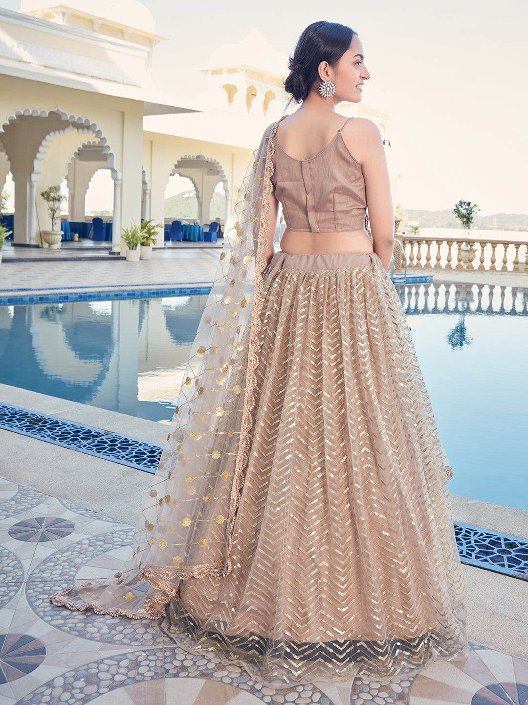 Brown color Lehenga choli with sequence work